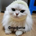 😋