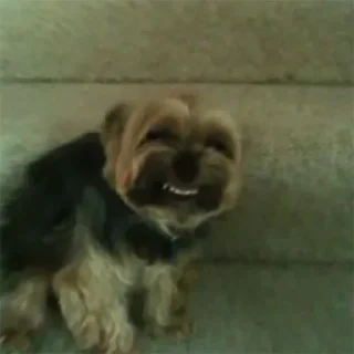 😏