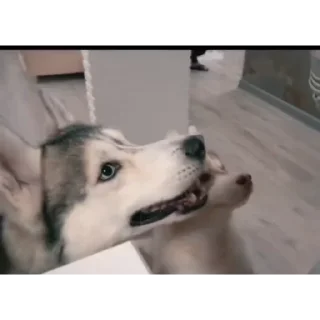 👍