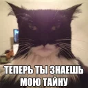 👤