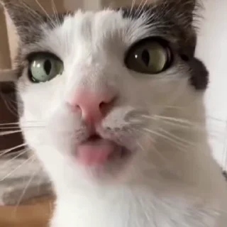 😋