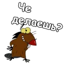 😉