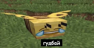 👋