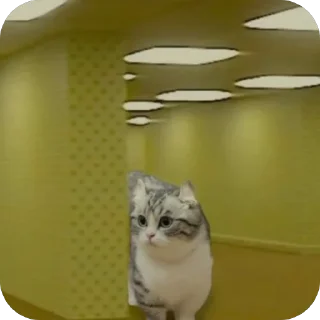 🫥