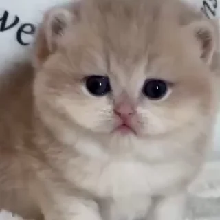 💋