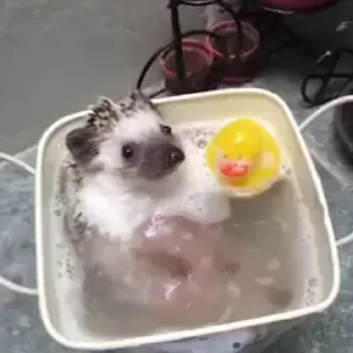 🛁