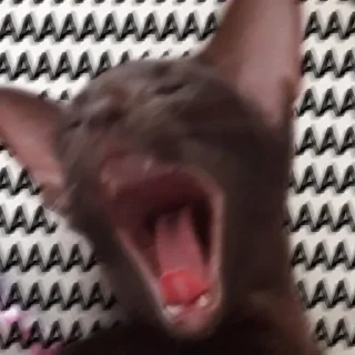 😱