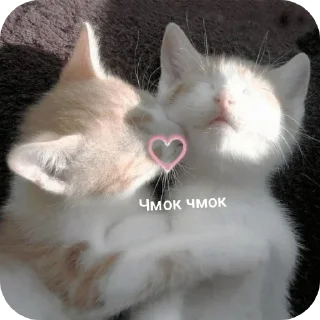 😘