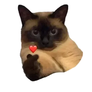 ❤️
