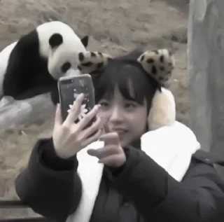 🐮; 𝘫𝘪𝘴𝘰𝘰 𝘧𝘳𝘮 𝘣𝘱. :: @fStikBot