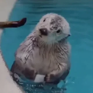 ❓