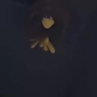 🧸
