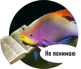 Reading @stickersb2b