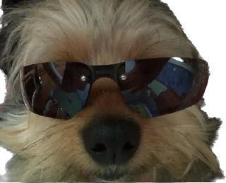 😎