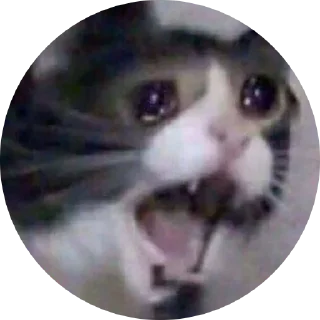 😱