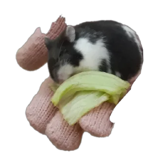 🧸