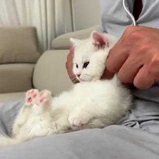 🙃