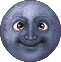 🌚