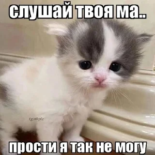 😪
