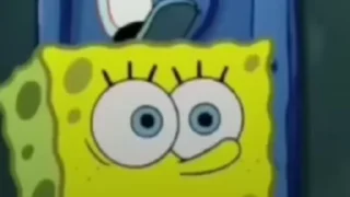 🧽