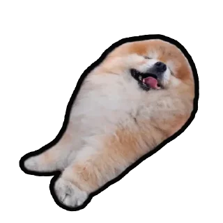 😋