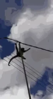 🐵