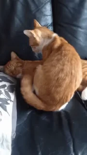 ❤