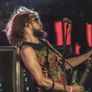 🎸
