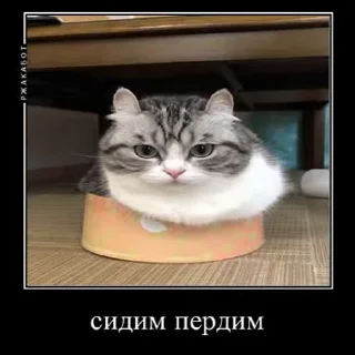 😑