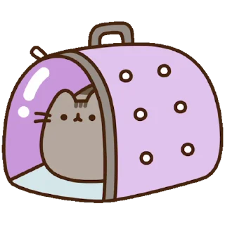 🐈