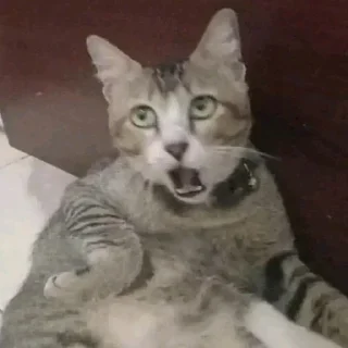 🤯
