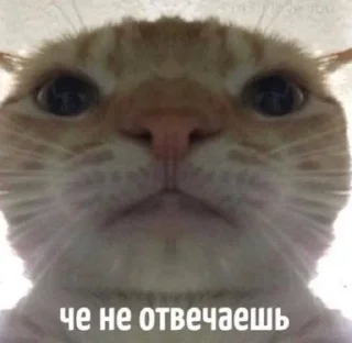 🧐