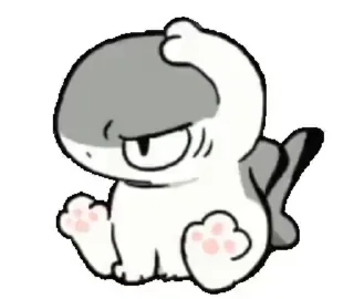 Illegal Sharkkitty