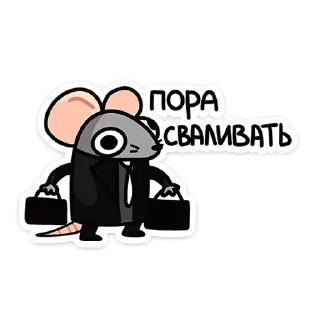 😎