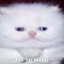 😐