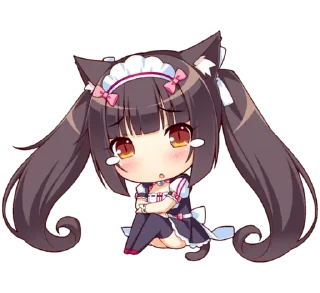 😿