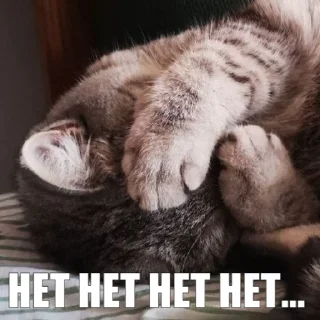 😣