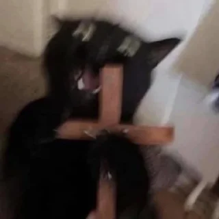 ✝️