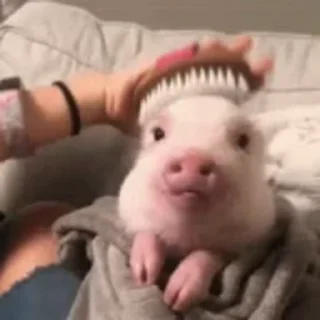 😁