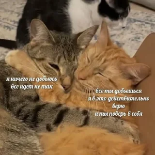 🖤
