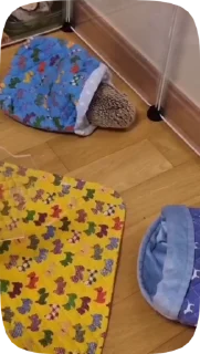 😱