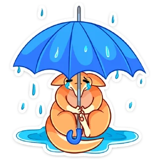 ☔️
