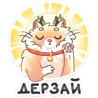 😇