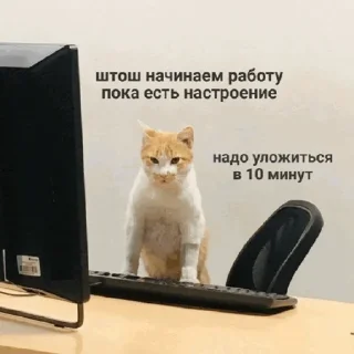 💻