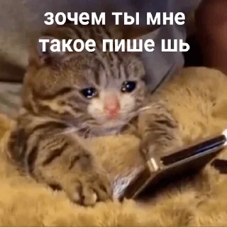 😭