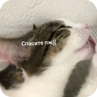 😭