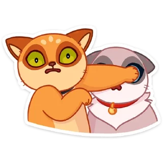 🙈