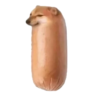 🌭
