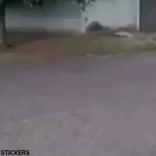🕺