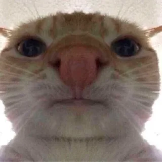 😕